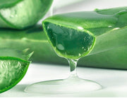 Aloe Gel Skin Care Moisturizing Face Cream aloe vera plant with gel dripping from a cut leaf.